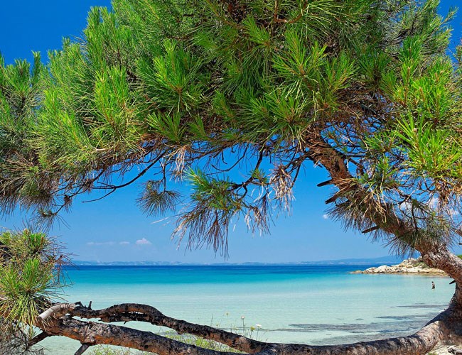 ''Le petit paradis,...