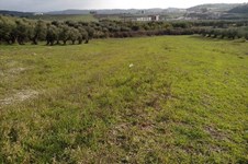 Property 21283 photo 4