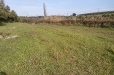 Property 21283 photo 5