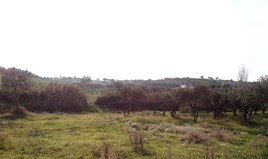 Land 6250 m² in Sithonia, Chalkidiki