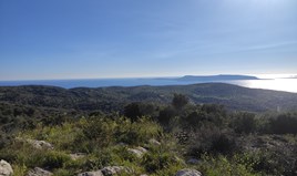 Land 4500 m² in Western Peloponnese