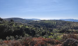 Zemljište 4100 m² na Zapadnom Peloponezu