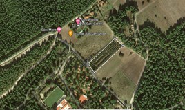 Land 6579 m² auf Kassandra (Chalkidiki)