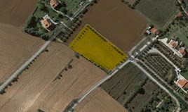 Земельна ділянка 4250 m² в передмісті Салонік
