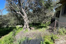 Property 10316 photo 22
