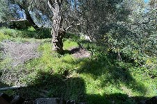 Property 10316 photo 21