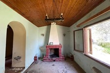 Property 10316 photo 10