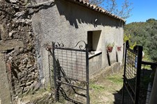 Property 10316 photo 2