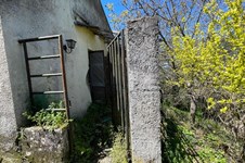 Property 10316 photo 3
