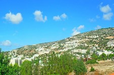 Property 11825 photo 22