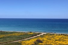 Property 15283 photo 2