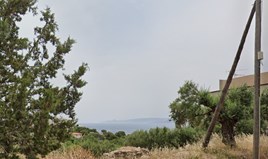 Land 3300 m² auf Kreta