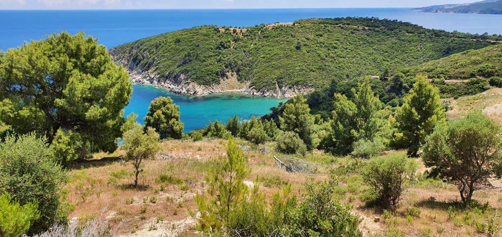 For Sale - Land 12000 m² in Sithonia, Chalkidiki