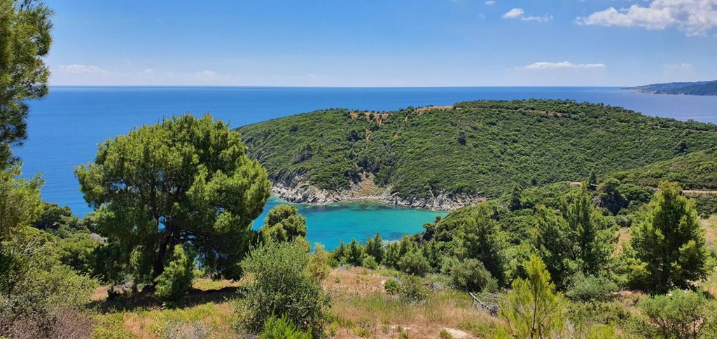 For Sale - Land 12000 m² in Sithonia, Chalkidiki