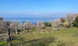 Land 2400 m² auf Korfu
