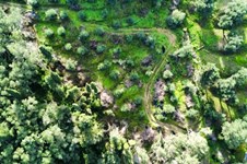 Property 22562 photo 4