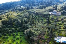 Property 22562 photo 15