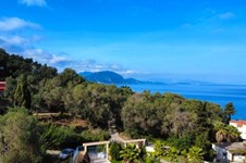 Property 22562 photo 6