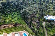 Property 22562 photo 7