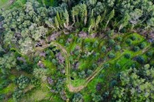 Property 22562 photo 5