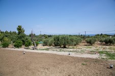 Property 22577 photo 11