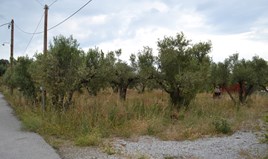 Парцел 500 m² в Халкидики