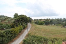 Property 23443 photo 15