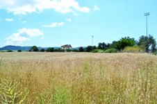 Property 23608 photo 11