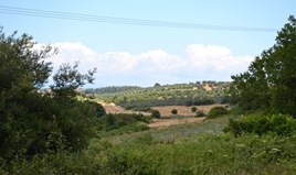 Land 10700 m² in Kassandra, Chalkidiki
