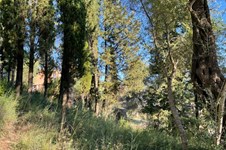 Property 23627 photo 7