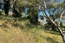 Property 23627 photo 5