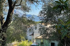 Property 23627 photo 6