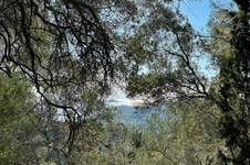 Property 23627 photo 2