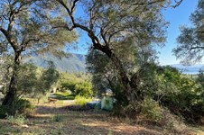 Property 23627 photo 1