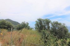 Property 23675 photo 12