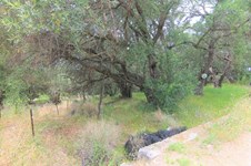 Property 23675 photo 9