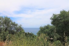 Property 23675 photo 13