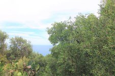 Property 23675 photo 11