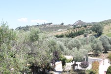 Property 24130 photo 34