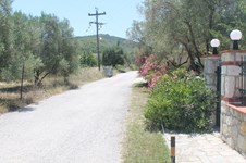 Property 24130 photo 37