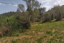 Property 27154 photo 5