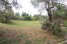 Property 27154 photo 4