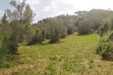 Property 27154 photo 7