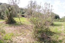 Property 27154 photo 6