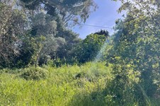 Property 29583 photo 3