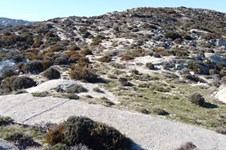 Property 30943 photo 8