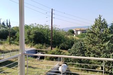 Property 31439 photo 30