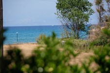 Property 3231 photo 32