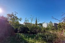 Property 32441 photo 7