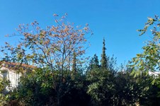 Property 32441 photo 2